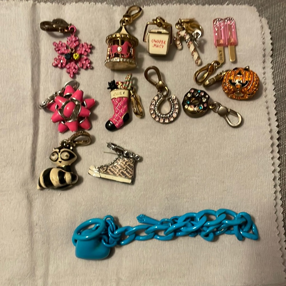 Juicy couture charms and bracelet